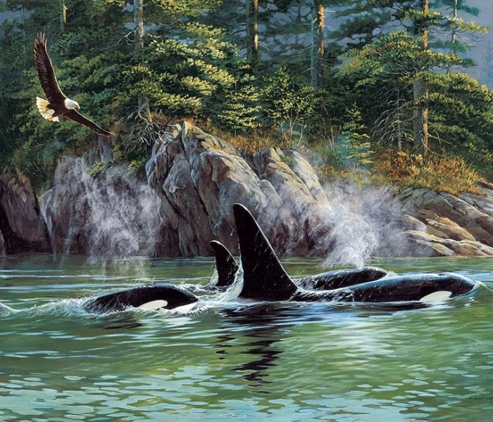 Puzzle - Cobble Hill - Orca