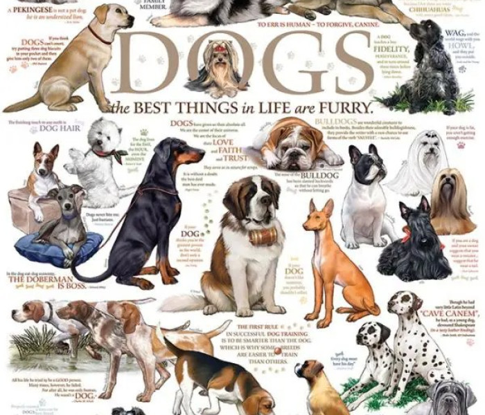 Puzzle - Cobble Hill - Citate canine