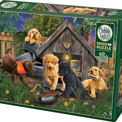 Lângă cușca câinelui