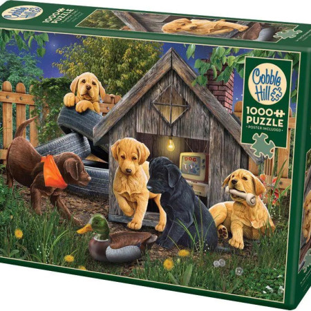 Lângă cușca câinelui