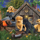 Puzzle - Cobble Hill - Lângă cușca câinelui