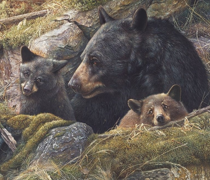 Puzzle - Cobble Hill - Dragoste dublă