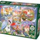 Puzzle - Cobble Hill - Păsări acvatice fermecătoare