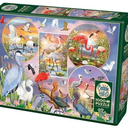 Păsări acvatice fermecătoare