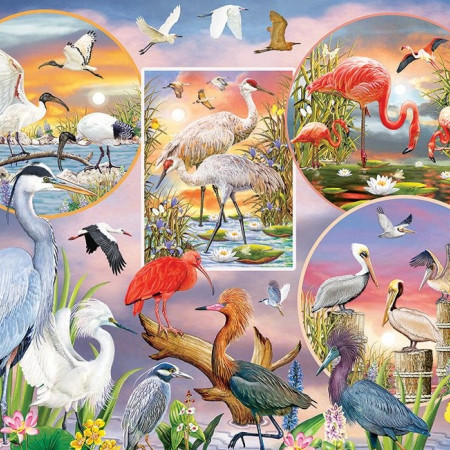 Păsări acvatice fermecătoare