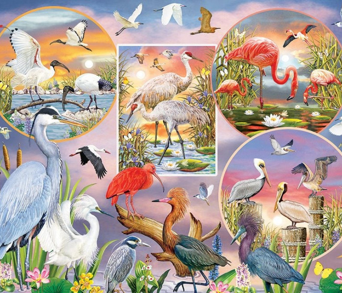 Puzzle - Cobble Hill - Păsări acvatice fermecătoare