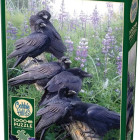 Puzzle - Cobble Hill - Întâlnire de corbi