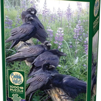 Întâlnire de corbi