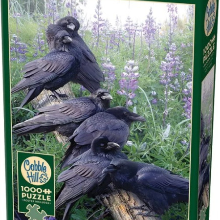 Întâlnire de corbi