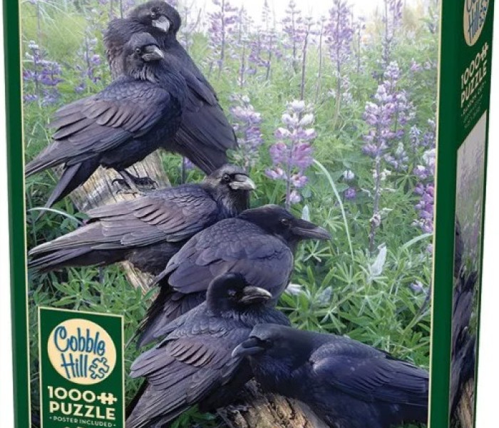 Puzzle - Cobble Hill - Întâlnire de corbi