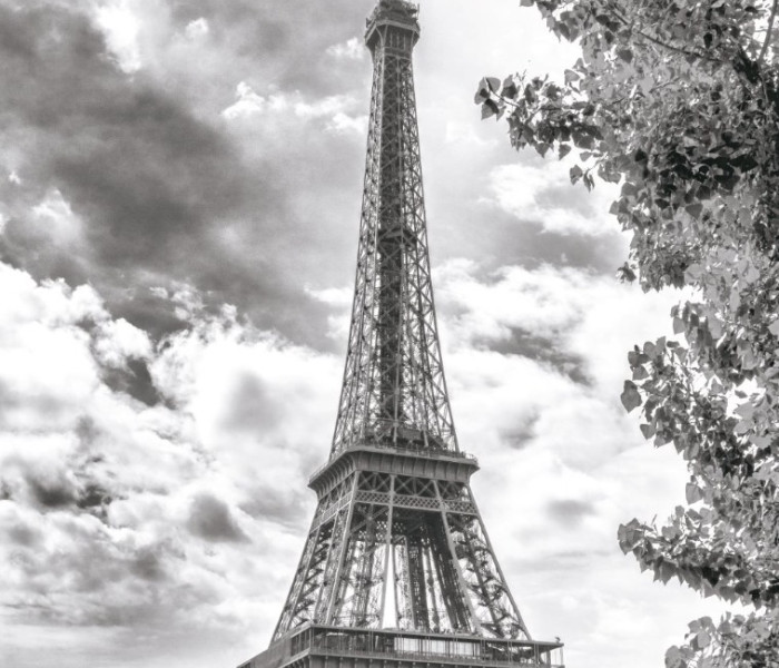 Puzzle - Dino - Turnul Eiffel alb-negru