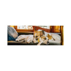 Puzzle - Dino - Gump pe canapea