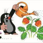 Puzzle - Dino - Krtko