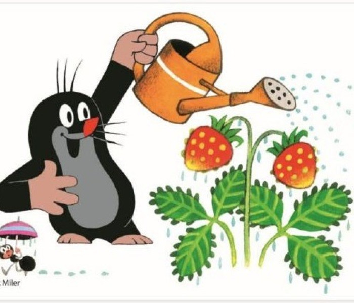 Puzzle - Dino - Krtko