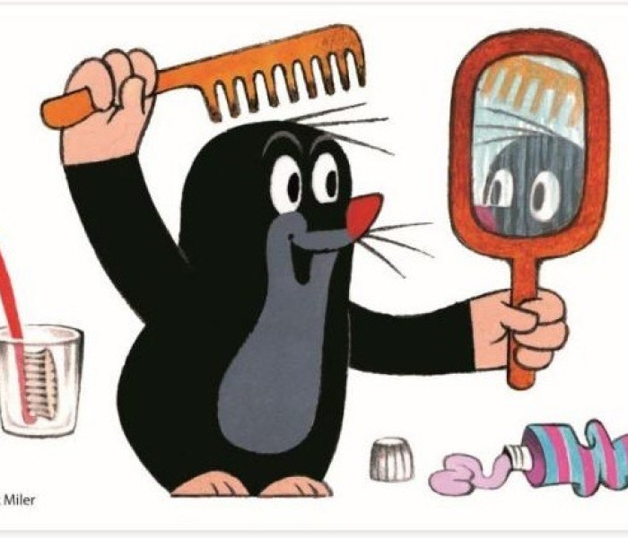 Puzzle - Dino - Krtko