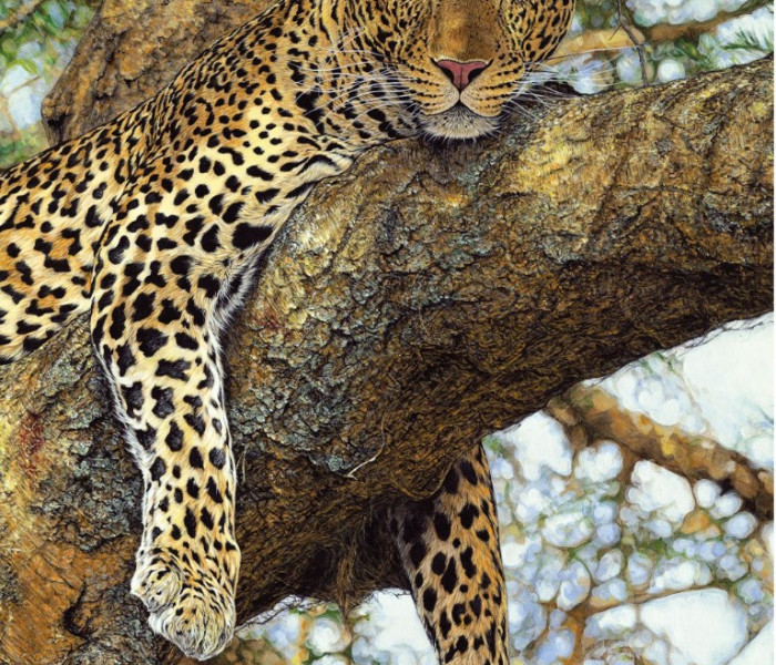 Puzzle - Dino - Leopard