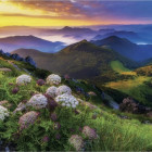 Puzzle - Dino - Mala Fatra