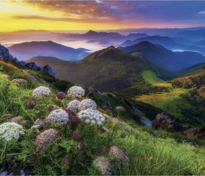 Puzzle - Dino - Mala Fatra