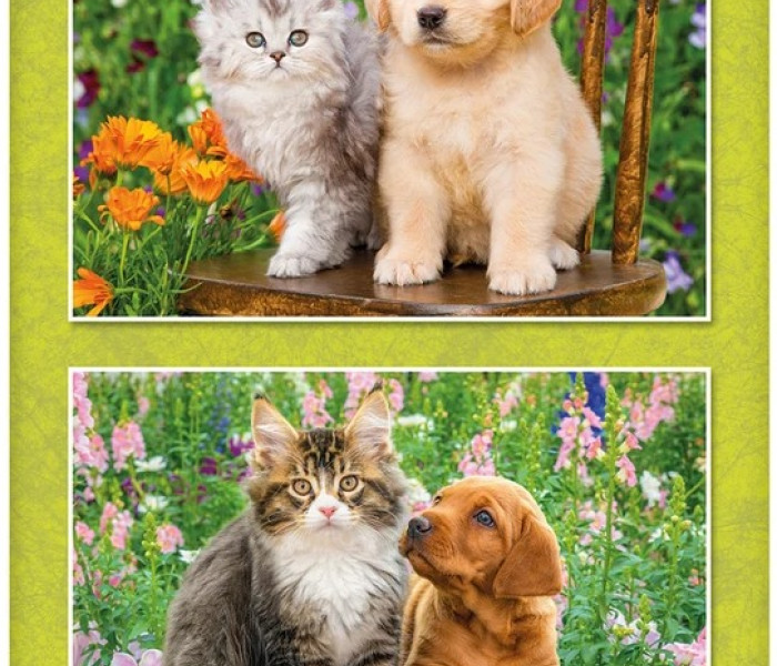 Puzzle - Dino - Cățeluș și pisicuță în grădină