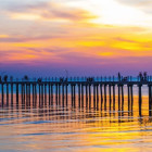 Puzzle - Dino - Golful thailandez - Puzzle panoramic