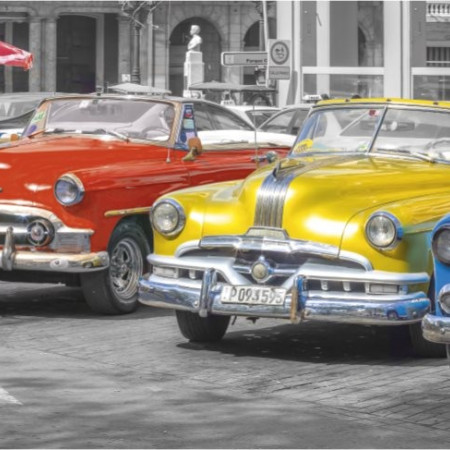 Întâlnire veterani - Puzzle panoramic