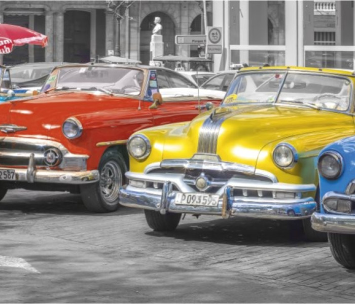 Puzzle - Dino - Întâlnire veterani - Puzzle panoramic