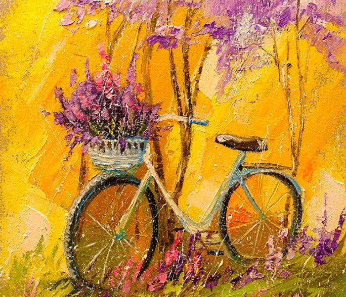 Puzzle - Enjoy - Bicicleta mea