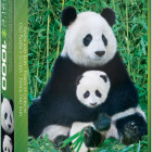 Puzzle - Eurographics - Ursul panda și puiul