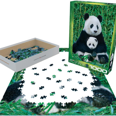 Ursul panda și puiul