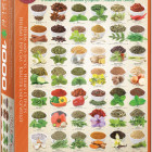 Puzzle - Eurographics - Plante aromatice și mirodenii