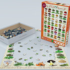 Puzzle - Eurographics - Plante aromatice și mirodenii