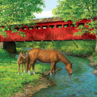 Puzzle - Eurographics - Podul de la Sweet Water