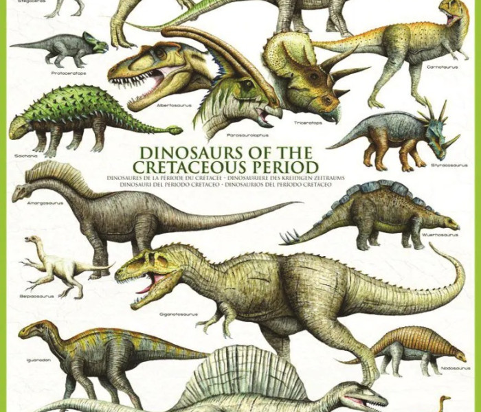 Puzzle - Eurographics - Dinozauri