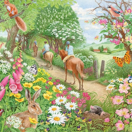 Plimbare de după-amiază