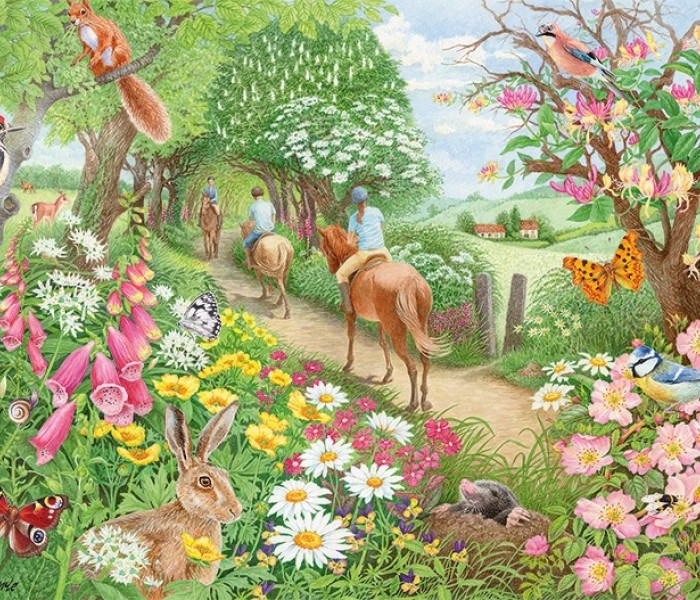 Puzzle - Falcon - Plimbare de după-amiază