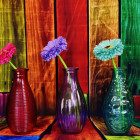 Puzzle - Grafika - Vaze colorate cu flori