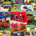 Puzzle - Grafika - Biciclete