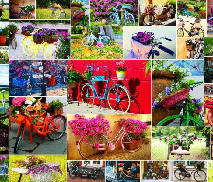 Puzzle - Grafika - Biciclete
