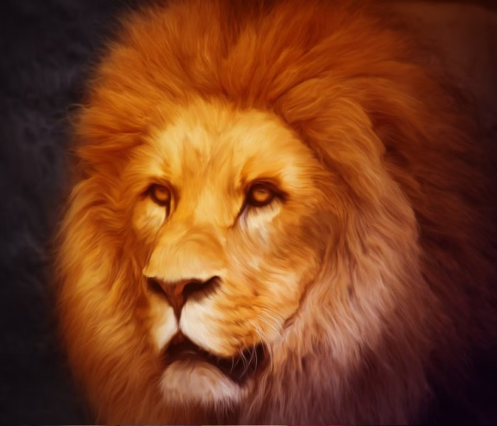 Puzzle - Grafika - Leu