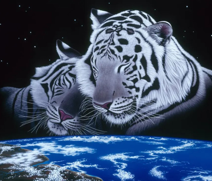 Puzzle - Grafika - Dormi liniștit