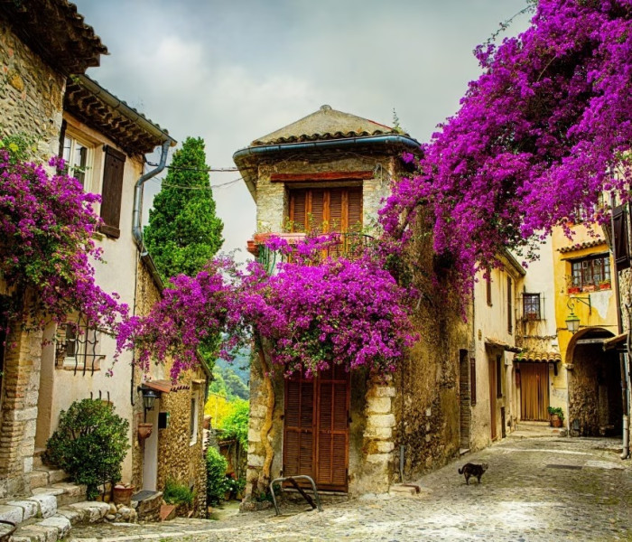 Puzzle - Grafika - Provincie, Franța