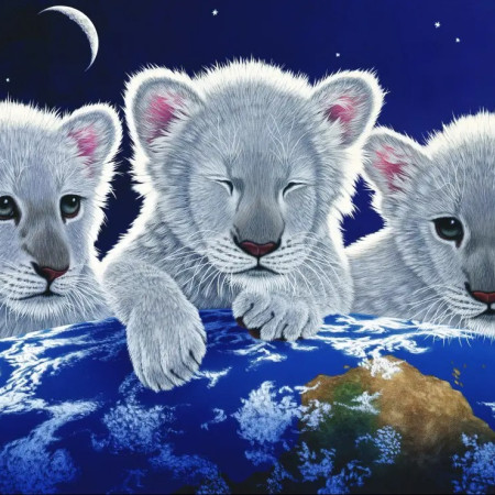 Mister și speranță