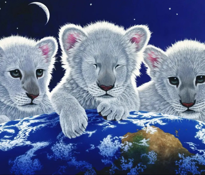 Puzzle - Grafika - Mister și speranță