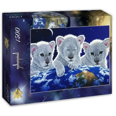 Mister și speranță