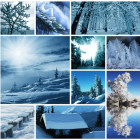 Puzzle - Grafika - Colaj de iarnă