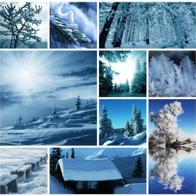 Colaj de iarnă