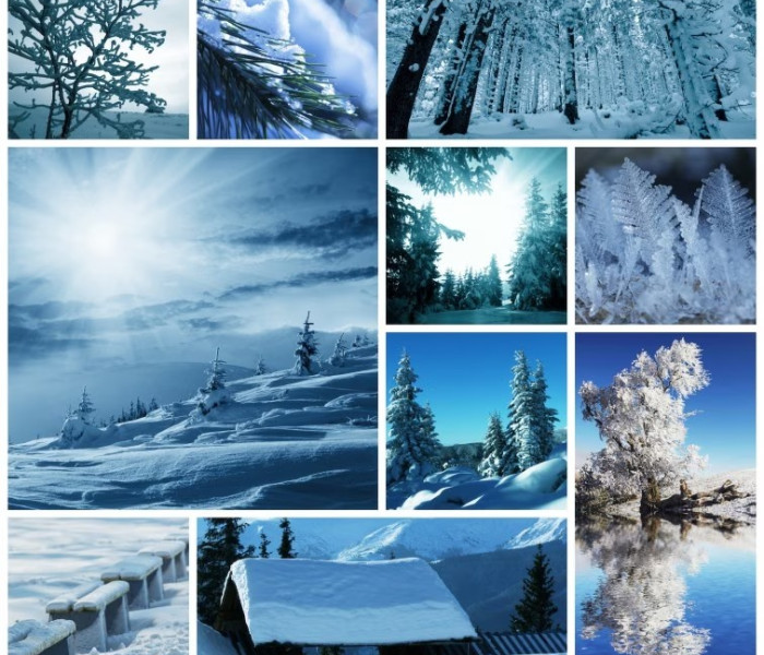 Puzzle - Grafika - Colaj de iarnă