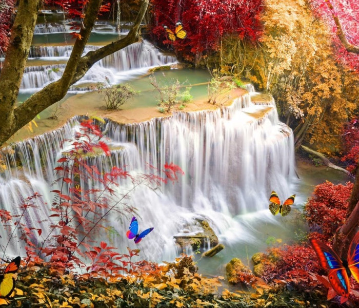 Puzzle - Grafika - Cascadă în pădure adâncă