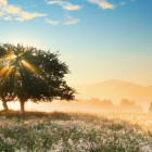 Puzzle - Heye - Jocul luminii - Puzzle panoramic