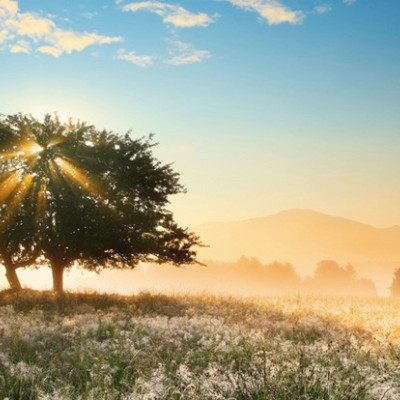Jocul luminii - Puzzle panoramic